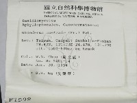 登錄號:F0001599藏品圖，第2張