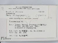 登錄號:F0001600藏品圖，第2張