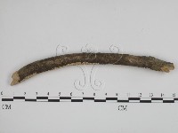 登錄號:F0001600藏品圖，第3張