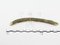 登錄號:F0001600藏品圖，第4張