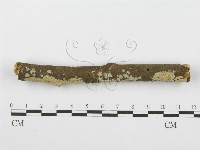 登錄號:F0001601藏品圖，第3張