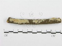 登錄號:F0001601藏品圖，第5張