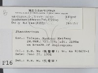 登錄號:F0001602藏品圖，第2張