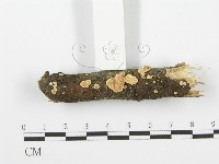 登錄號:F0001602藏品圖，第3張