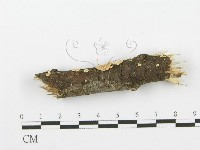 登錄號:F0001602藏品圖，第4張