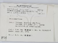 登錄號:F0001603藏品圖，第2張