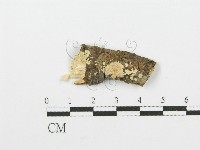 登錄號:F0001603藏品圖，第1張