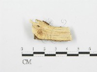 登錄號:F0001603藏品圖，第3張