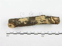 登錄號:F0001604藏品圖，第1張