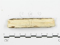 登錄號:F0001605藏品圖，第3張