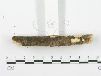 登錄號:F0001605藏品圖，第4張