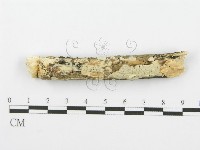 登錄號:F0001606藏品圖，第1張