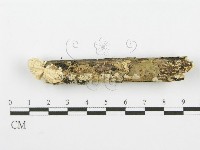 登錄號:F0001606藏品圖，第3張