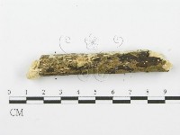 登錄號:F0001606藏品圖，第4張