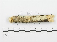 登錄號:F0001606藏品圖，第5張