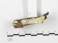 登錄號:F0001608藏品圖，第3張