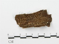 登錄號:F0001608藏品圖，第4張