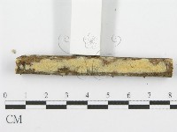 登錄號:F0001610藏品圖，第3張