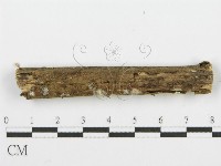 登錄號:F0001610藏品圖，第4張