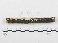 登錄號:F0001612藏品圖，第5張