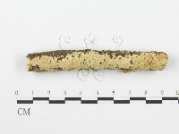 登錄號:F0001614藏品圖，第1張