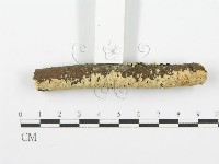 登錄號:F0001614藏品圖，第3張