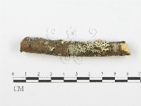 登錄號:F0001614藏品圖，第4張