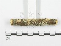 登錄號:F0001614藏品圖，第5張