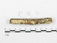 登錄號:F0001615藏品圖，第1張