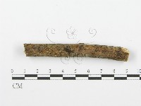 登錄號:F0001615藏品圖，第4張