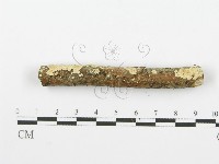 登錄號:F0001615藏品圖，第5張