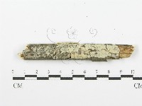 登錄號:F0001616藏品圖，第1張