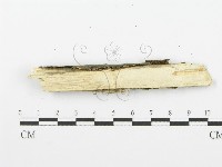 登錄號:F0001616藏品圖，第4張