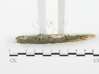 登錄號:F0001616藏品圖，第5張