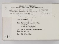 登錄號:F0001617藏品圖，第2張
