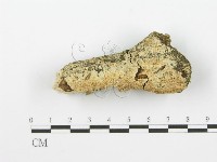 登錄號:F0001617藏品圖，第1張