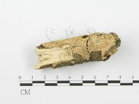 登錄號:F0001617藏品圖，第3張