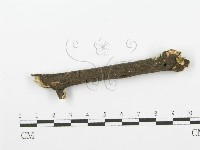 登錄號:F0001618藏品圖，第3張