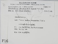 登錄號:F0001619藏品圖，第2張