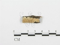 登錄號:F0001619藏品圖，第1張