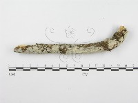 登錄號:F0001620藏品圖，第1張