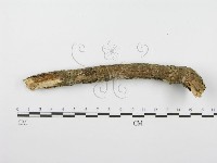 登錄號:F0001620藏品圖，第4張