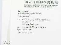 齒耳菌屬藏品圖，第2張