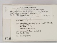 登錄號:F0001624藏品圖，第2張