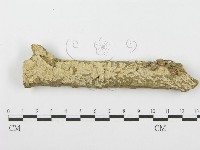 登錄號:F0001624藏品圖，第1張