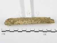 登錄號:F0001624藏品圖，第3張