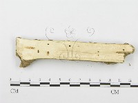 登錄號:F0001624藏品圖，第4張