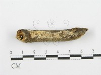 登錄號:F0001625藏品圖，第1張