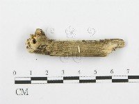 登錄號:F0001625藏品圖，第3張