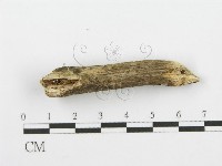 登錄號:F0001625藏品圖，第4張